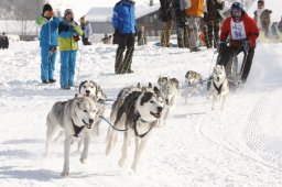 Lenk 2012 SM